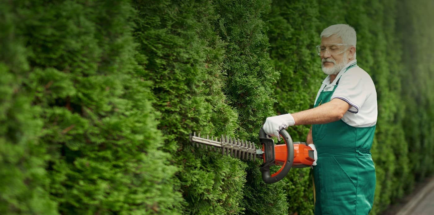 We are helping you to improve your Garden appearance