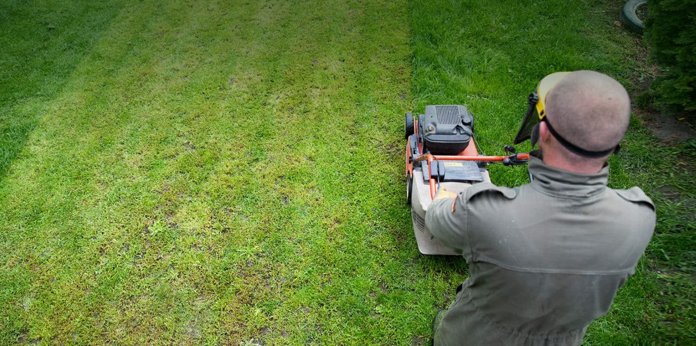 We are helping you to improve your Garden appearance